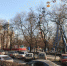В Ростов пришла настоящая весна - Комсомольская правда