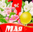 s1200.png - Избирательная комиссия