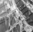 Развернуть - Ростов официальный