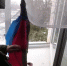 Войска ДНР освободили город Волноваху недалеко от Ростовской области - RostovGazeta.Ru