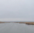 В Ростовской области ожидается опасное повышение уровня воды в Дону - DonDay.Ru