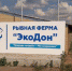До конца года в Ростовской области заработает часть рыбного комплекса за 2,2 млрд рублей - Панорама