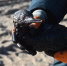 Разлив мазута в Черном море: какие последствия грозят Ростовской области - RostovGazeta.Ru