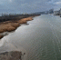 Эколог рассказал, чем грозит резкое снижение уровня воды в Дону - RostovGazeta.Ru