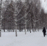 Аномальные морозы до -25 градусов ворвутся в Ростовскую область в конце февраля - RostovGazeta.Ru
