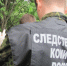 Следователи организовали проверку размещенной в СМИ информации о травмировании девочки в результате падения из маршрутного такси - Следственный комитет