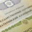 В 2024 году 20,5 тысячи сертификатов на материнский капитал было выдано в Ростовской области - Администрация Ростовской области