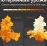Источник: Мария Романова / 161.RU - 161.Ru