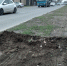 WhatsApp Image 2025-04-02 at 10.41.20.jpeg - Администрация г. Ростов-на-Дону