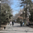 Двадцать городов Ростовской области признаны комфортными для жизни - Эксперт Юг