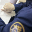 В Батайске мужчина отправлен под стражу за убийство брата - Следственный комитет