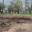 В Таганроге начались работы по благоустройству сквера на ул. Маршала Жукова - Администрация Ростовской области