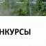 РНФ объявляет о начале приема заявок на пять конкурсов - ЮФУ