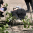 Фото: В Ростове дерево упало на женщину, кадр ТГ Ростов Главный - 1RND.Ru