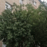 В Ростовской области из-за оставленного на зарядке телефона произошел пожар в квартире - DonDay.Ru