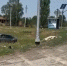 Место ДТП. Скриншот из видео УГИБДД Ростовской области - DonNews.Ru