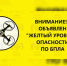 В Ростовской области объявлен желтый уровень беспилотной опасности 25 июня - DonDay.Ru