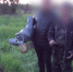 Фото: СУ СК по Ростовской области - 1RND.Ru