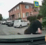 Фото к материалу: Водитель «Киа» сбил 6-летнего велосипедиста в Аксае - DonDay.Ru