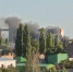 Фото: кадр из видео - 1RND.Ru