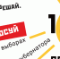 Приюту «Феникс» из Ростовской области передали сухой корм в День бездомных животных - 1RND.Ru