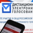 На Дону свыше 250 тысяч избирателей проголосуют дистанционно - Городской репортёр
