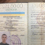 Житель ЛНР осужден на пять с половиной лет за участие в террористическом сообществе - Don24.Ru