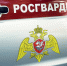 Порядка 30 злоумышленников задержали росгвардейцы в донском регионе - Росгвардия