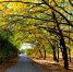 Фото: кадр 1Rnd - 1RND.Ru