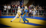 700f9dad-90e2-422c-b5a4-0bdc86c13174.jpg
