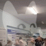 Депутат Госдумы написала жалобу на ростовскую больницу в Минздрав - Bloknot-Rostov.Ru
