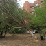 IMG-20251120-WA0008.jpg - Администрация г. Ростов-на-Дону