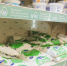 Что угодно, но не молоко: ростовским производителям массово забраковали продукты - RostovGazeta.Ru