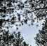 Фото: кадр 1Rnd - 1RND.Ru