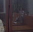 Под стражу отправили основательницу «рехабов» для подростков из Ростова - Ростов161