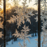 Фото: нейросеть - 1RND.Ru