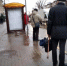 Власти Ростова отчитались об увеличении количества общественного транспорта на городских маршрутах - Панорама