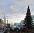 Температурные качели ожидаются в Ростове на следующей неделе - Big-Rostov.Ru