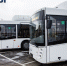 Пролетарский район Ростова останется без автобусов в праздники - Bloknot-Rostov.Ru