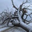 Фото: Нейросеть - 1RND.Ru