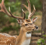 Фото: Нейросеть - 1RND.Ru
