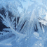 В Ростовской области 14 января ожидаются морозы до -15°C, снег и сильный гололед - Ростов161