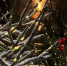 В Ростов придут настоящие крещенские морозы: синоптики прогнозируют резкое похолодание до -9 градусов - Ростов161