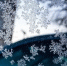 Мороз. Фото donnews.ru - DonNews.Ru