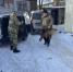 После жалоб жителей Ростова на улице Извилистой отловили бездомных собак - Панорама