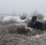Фото к материалу: Три человека пострадали в жестком ДТП в Гуково - DonDay.Ru