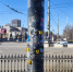 Предвесенний диссонанс в Ростове - Big-Rostov.Ru