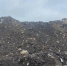 Возгорание на Багаевском мусорном полигоне полностью ликвидировано - Bloknot-Rostov.Ru