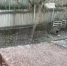 град4.jpg - Панорама