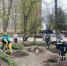 Где пройдут основные высадки деревьев в День древонасаждений в Ростове - Big-Rostov.Ru